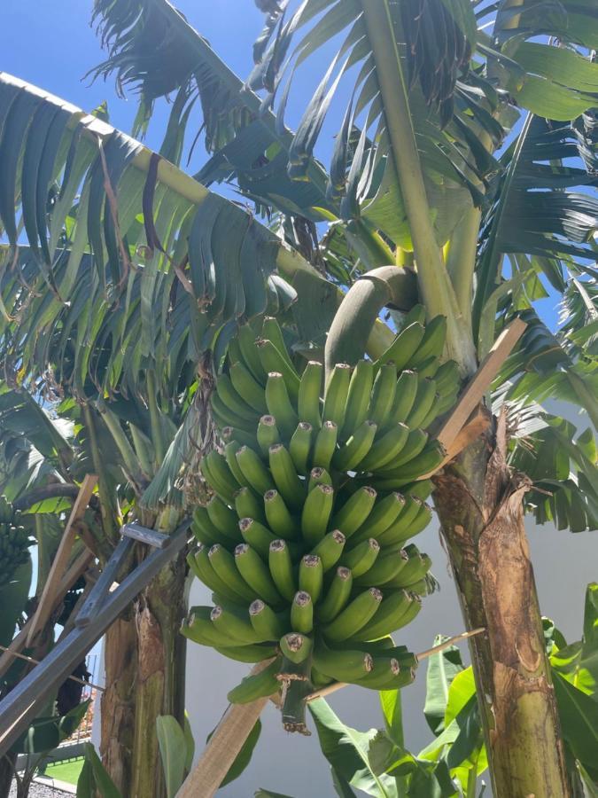 King'S Paradise Estreito Da Calheta 外观 照片