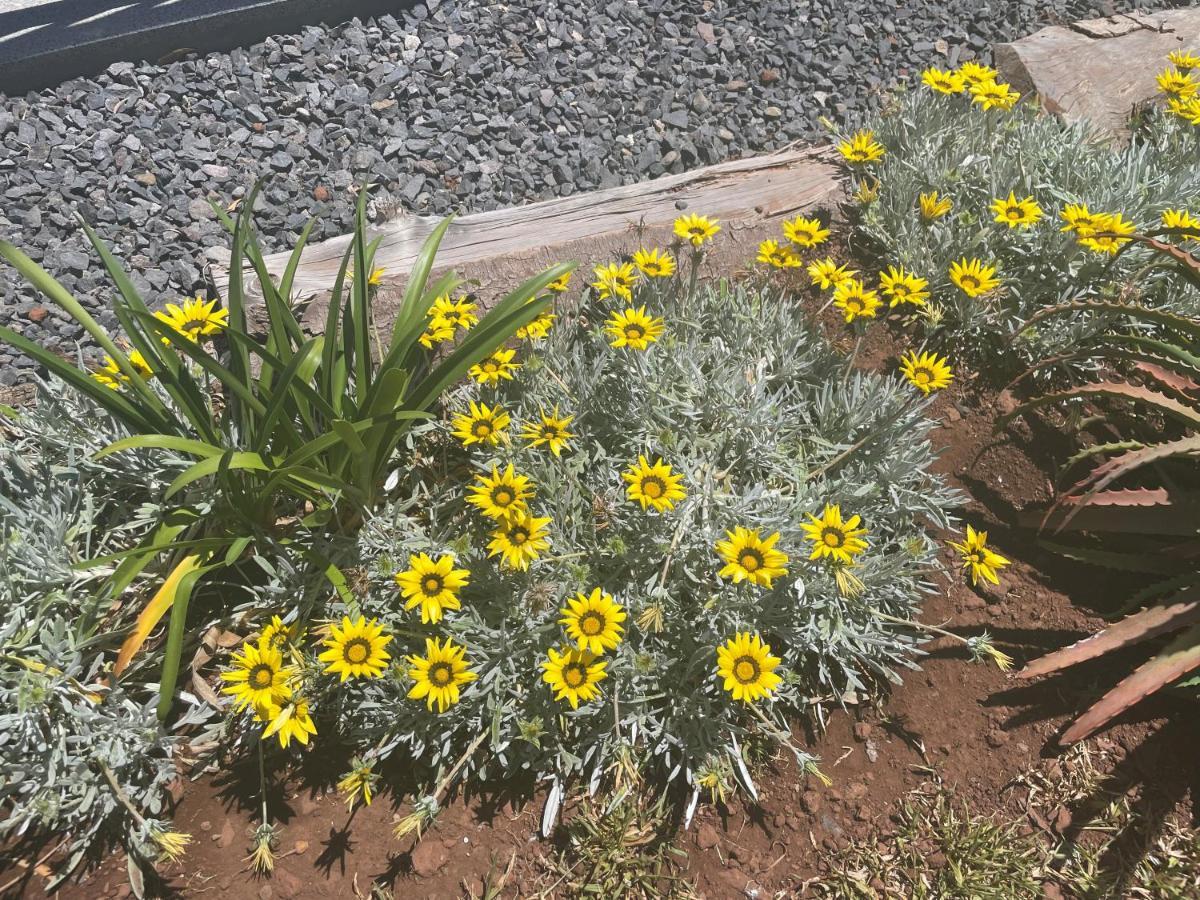King'S Paradise Estreito Da Calheta 外观 照片